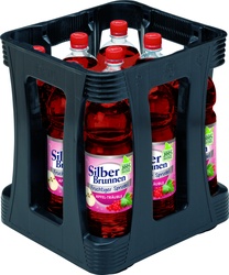Silberbrunnen Apfel Träuble PET 9x1,0 L
