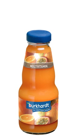 Burkh. Gastro Multi Mehrfruchtsaft 24x0,20